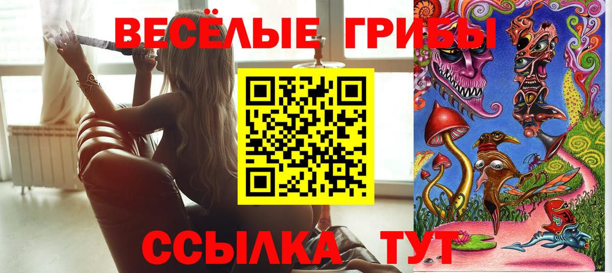 Галлюциногенные грибы Psilocybine cubensis  Вход с VPN  Междуреченск  Галлюциногенные грибы MAGIC MUSHROOMS 